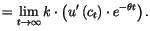 $\displaystyle =\lim_{t\rightarrow\infty}k\cdot\left( u^{\prime}\left( c_{t}\right)
 \cdot e^{-\theta t}\right) .$