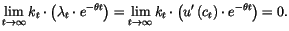 $\displaystyle \lim_{t\rightarrow\infty}k_{t}\cdot\left( \lambda_{t}\cdot e^{-\t...
..._{t}\cdot\left( u^{\prime}\left(
c_{t}\right) \cdot e^{-\theta t}\right) =0.
$