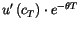 $ u^{\prime}\left( c_{T}\right) \cdot e^{-\theta T}$