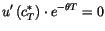 $\displaystyle u^{\prime}\left( c_{T}^{\ast}\right) \cdot e^{-\theta
 T}=0$