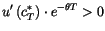 $\displaystyle u^{\prime}\left( c_{T}^{\ast}\right) \cdot e^{-\theta
 T}>0$