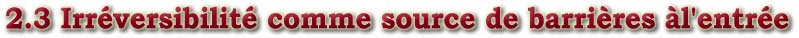 2.3 Irréversibilité comme source de barrières àl'entrée
