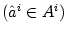 $ \left( \hat{a}^{i}\in A^{i}\right) $