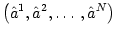 $ \left( \hat{a}^{1},\hat{a}^{2},\ldots,\hat{a}^{N}\right) $