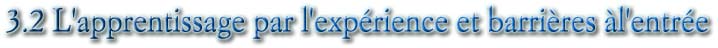 3.2 L'apprentissage par l'expérience et barrières àl'entrée