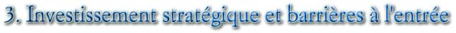 3. Investissement stratégique et barrières à l'entrée