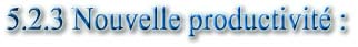 5.2.3 Nouvelle productivité :