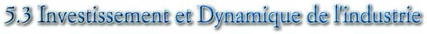5.3 Investissement et Dynamique de l'industrie