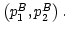 $ \left( p_{1}^{B},p_{2}^{B}\right) .$