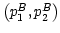 $ \left( p_{1}^{B},p_{2}^{B}\right) $