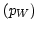 $ \left( p_{W}\right) $