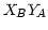$ X_{B}
Y_{A}$