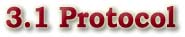 3.1 Protocol