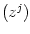 $ \left( z^{j}\right) $