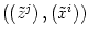 $ \left( \left( \tilde{z}^{j}\right)
,\left( \tilde{x}^{i}\right) \right) $