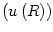 $ \left( u\left(
R\right) \right) $