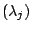 $ \left(
\lambda_{j}\right) $